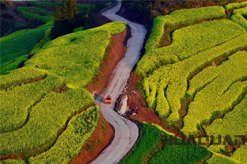 知道“油菜花之鄉(xiāng)”嗎？羅平好地方，華全發(fā)貨忙！