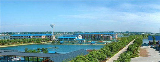 專業巡檢，熱心服務!華全發電機組助力養殖企業溫暖過冬!